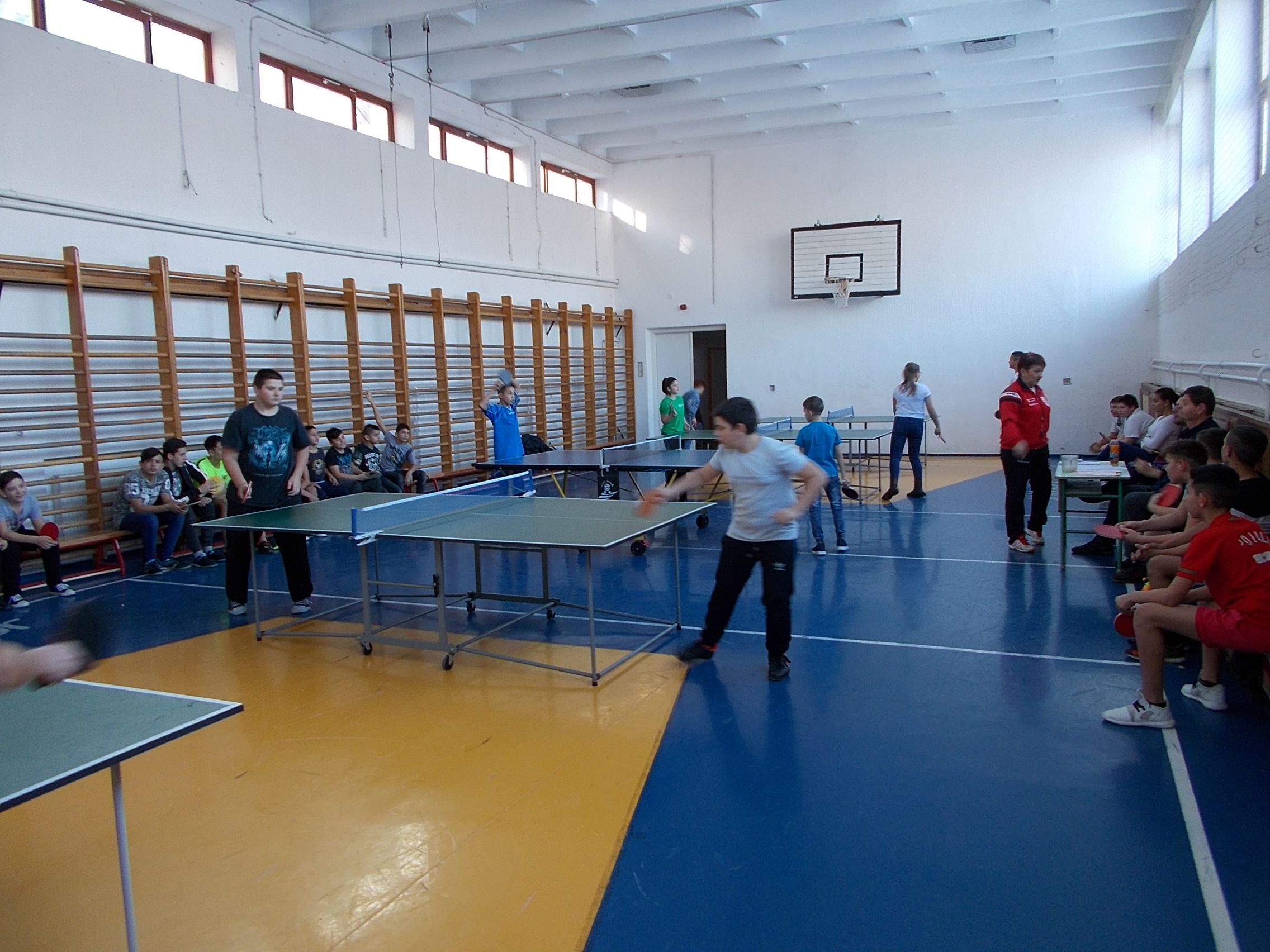 pingpong1
