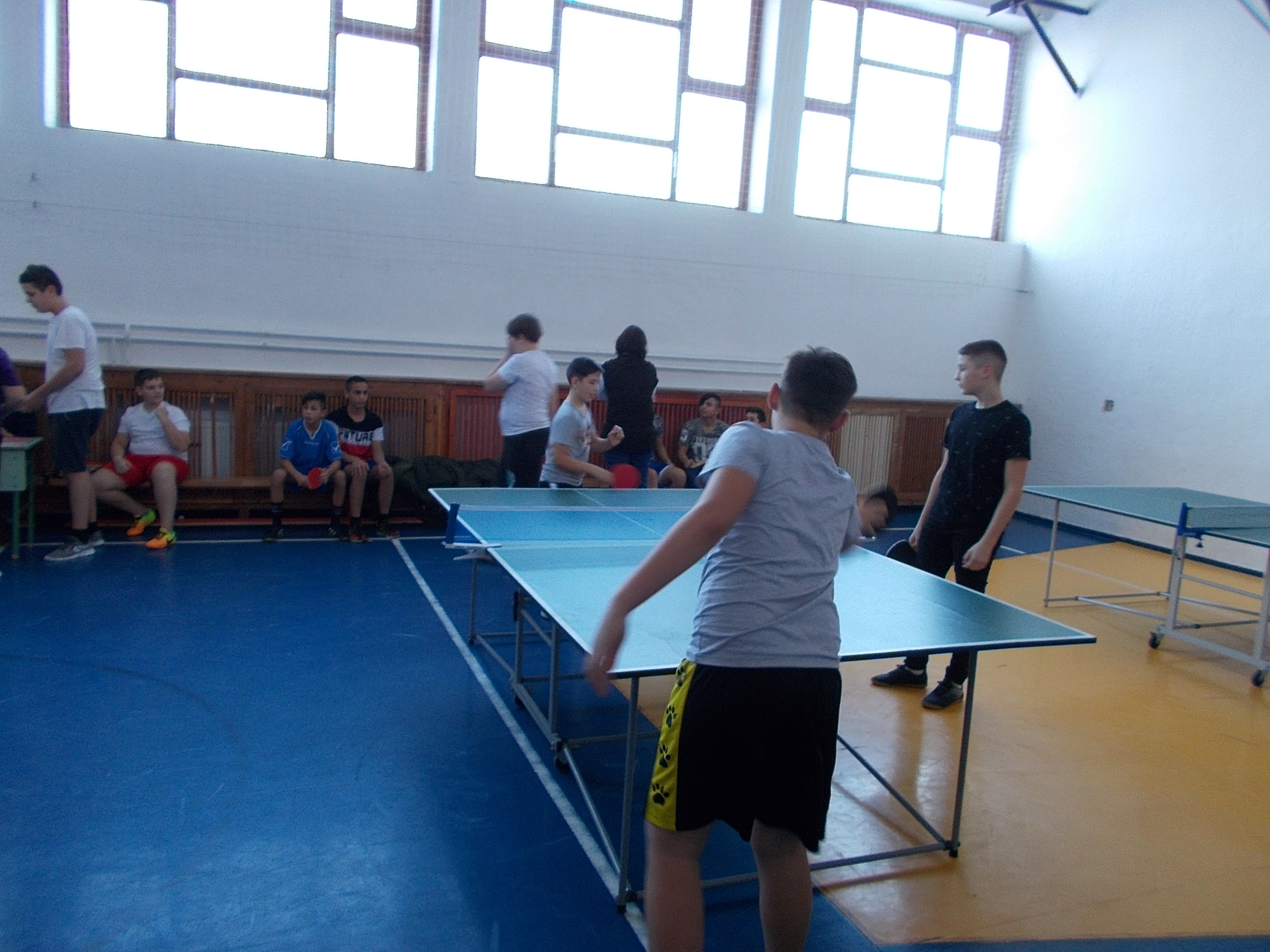 pingpong4